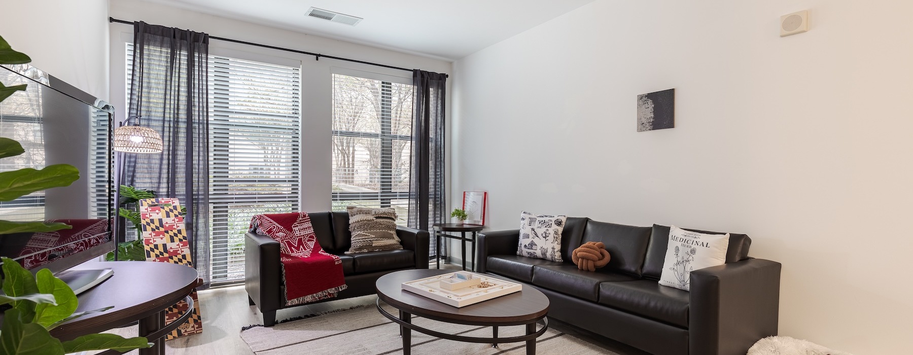 a living room with couches and a tv