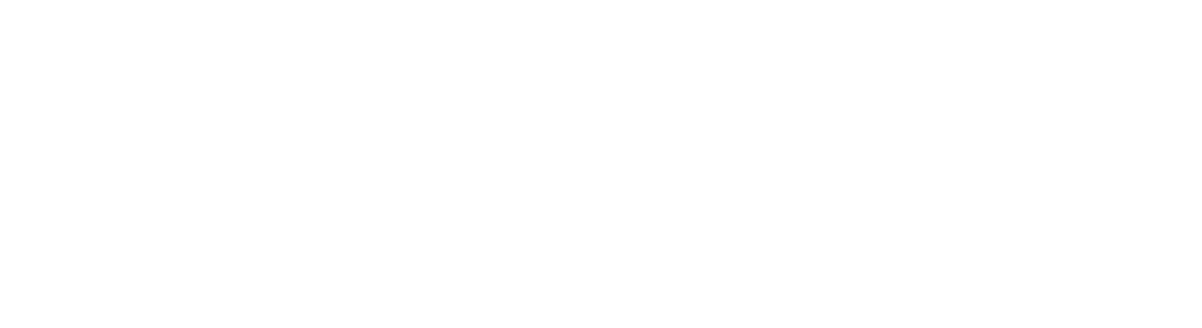 The Varsity College Park Logo